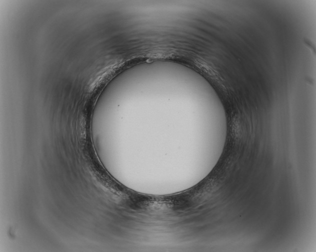 X0000102760303200809021013