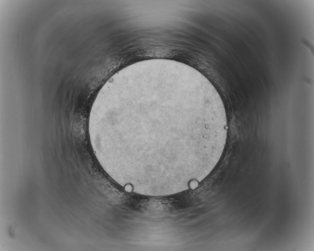 X0000102760305200809021013