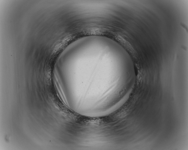 X0000102760306200809021013