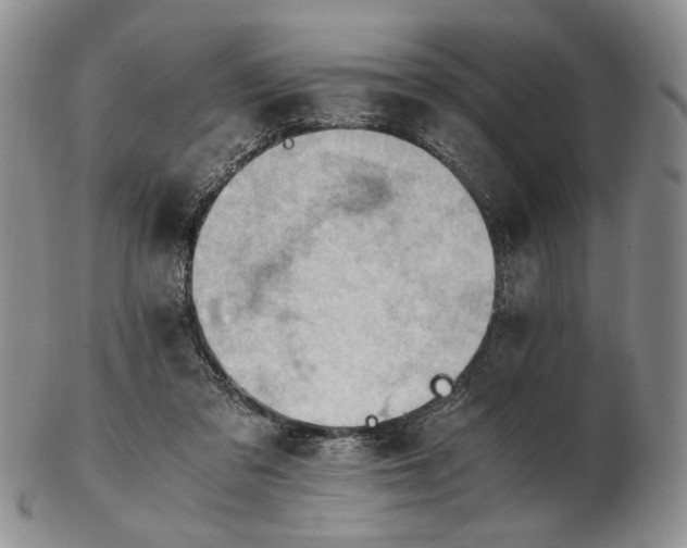 X0000102760309200809021013