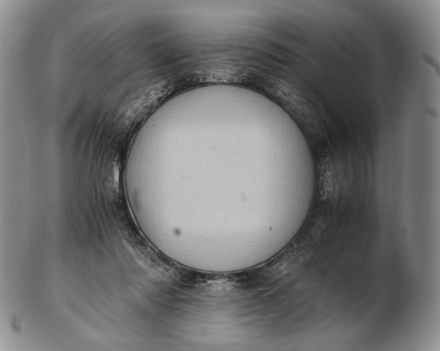 X0000102760310200809021013