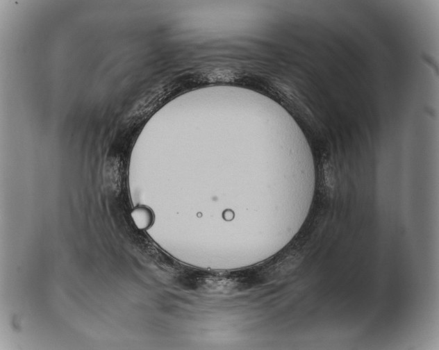 X0000102760311200809021013