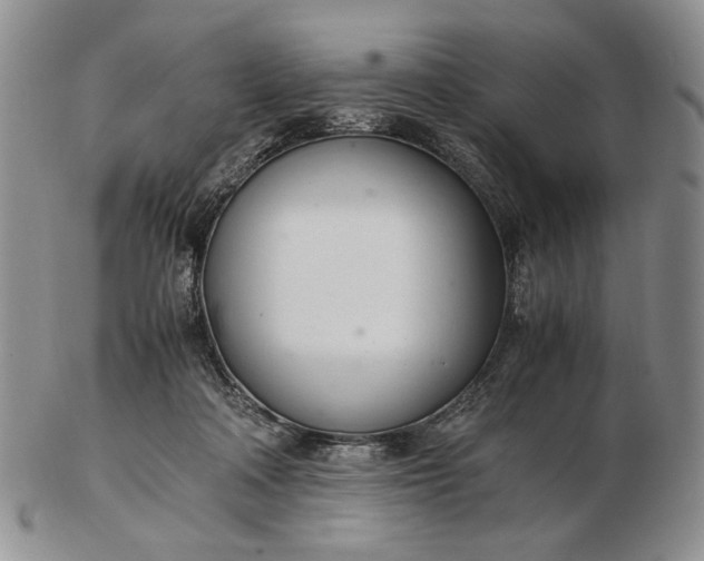 X0000102760314200809021013