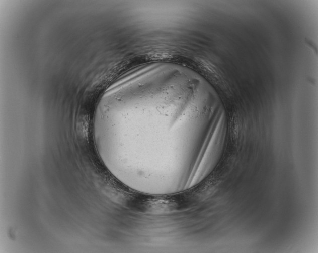 X0000102760315200809021013