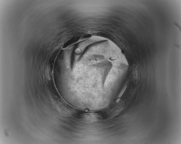 X0000102760316200809021013