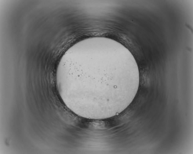 X0000102760317200809021013