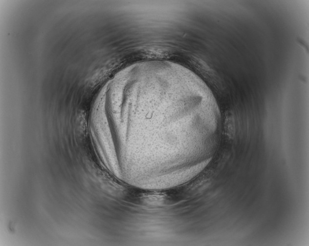 X0000102760318200809021013