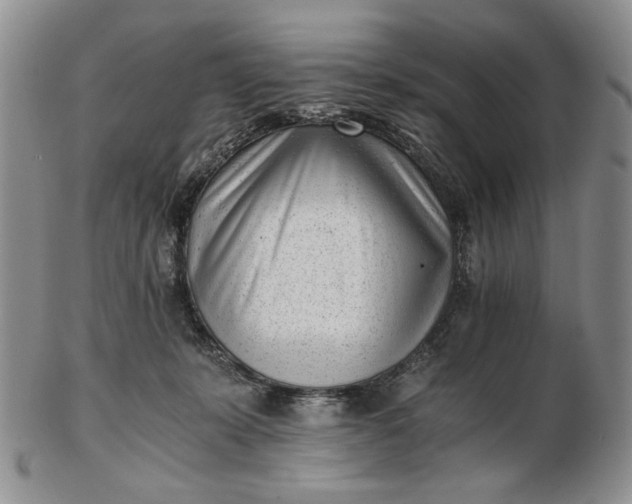 X0000102760319200809021013