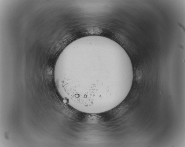 X0000102760321200809021013