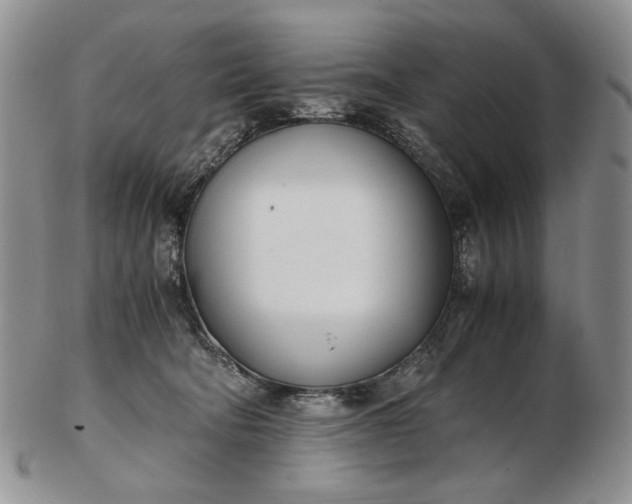 X0000102760322200809021013