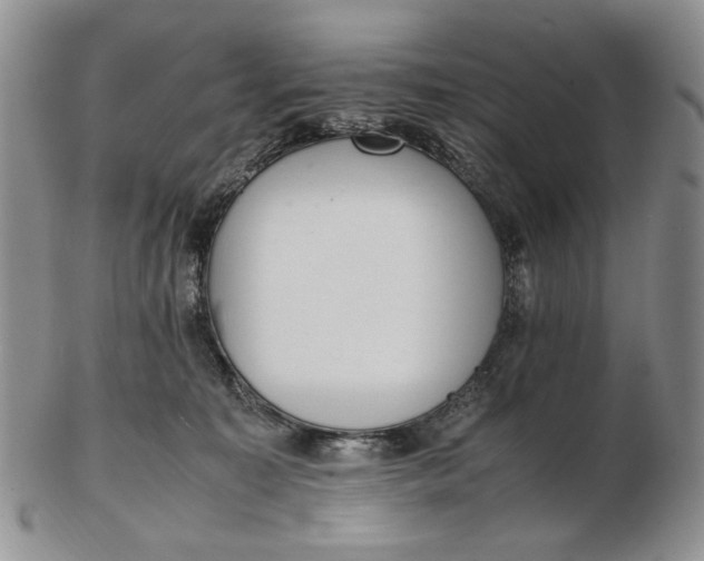 X0000102760323200809021013