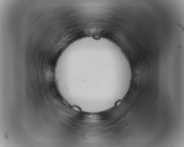 X0000102760324200809021013