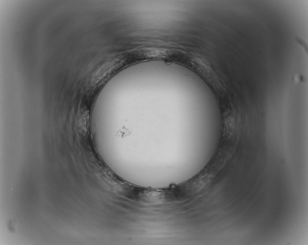 X0000102760325200809021013