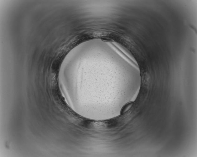 X0000102760327200809021013