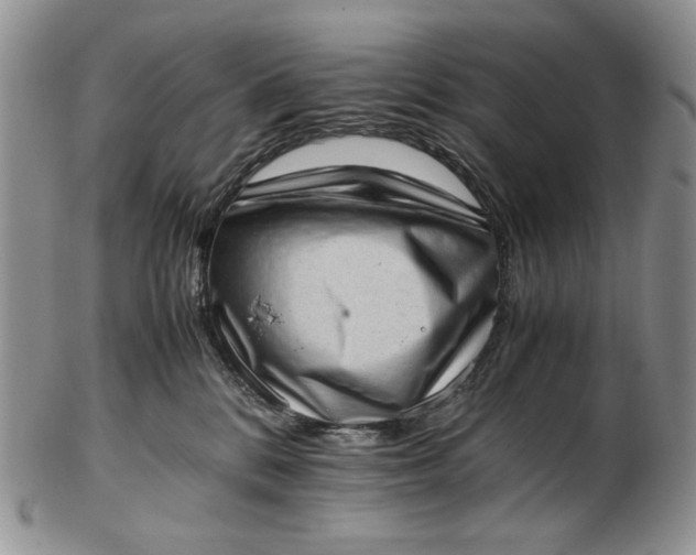 X0000102760328200809021013