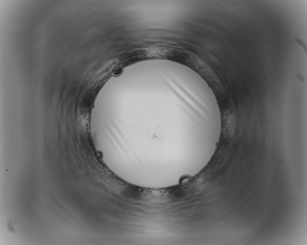 X0000102760329200809021012