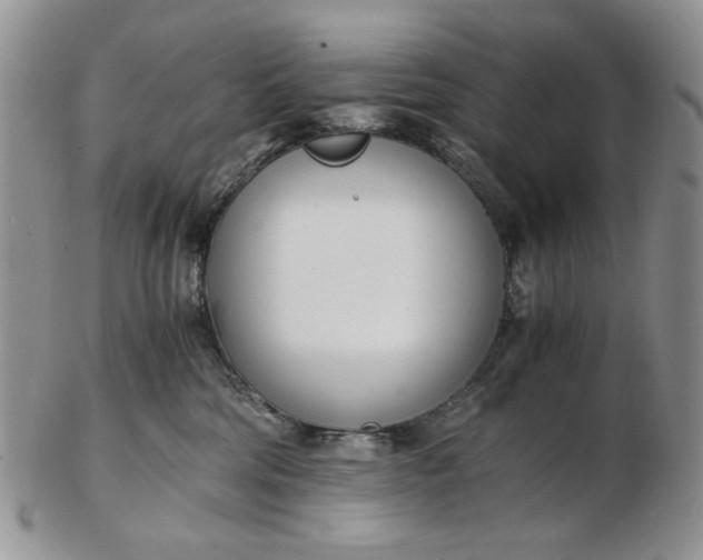 X0000102760330200809021012