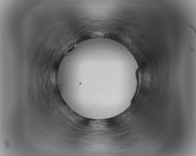 X0000102760331200809021012