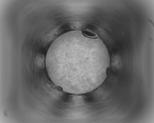 X0000102760332200809021012