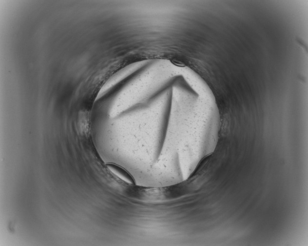 X0000102760335200809021012