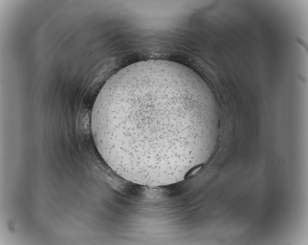 X0000102760336200809021012