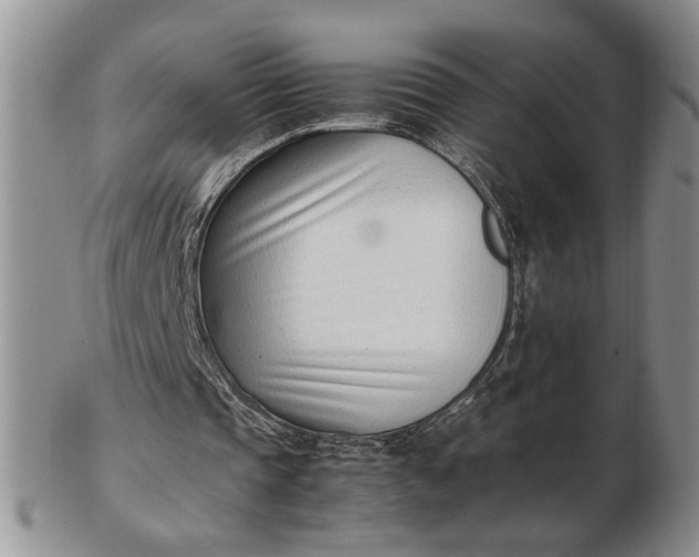 X0000102760337200809021012