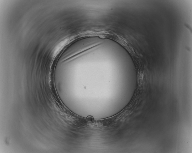 X0000102760340200809021012