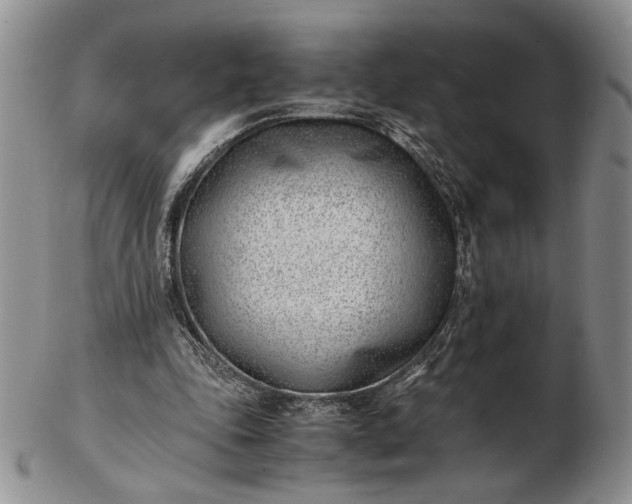 X0000102760343200809021012