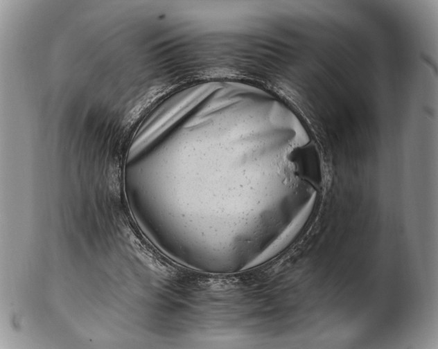 X0000102760345200809021012