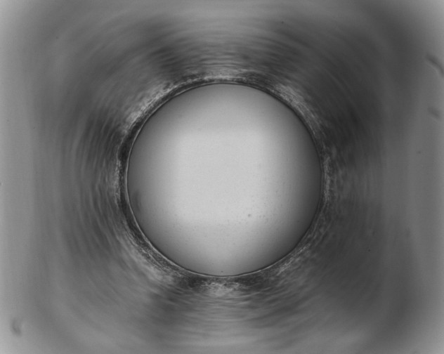 X0000102760346200809021012