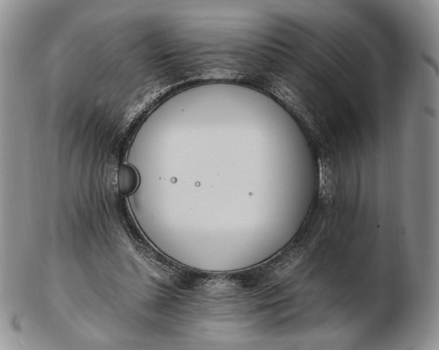 X0000102760348200809021012