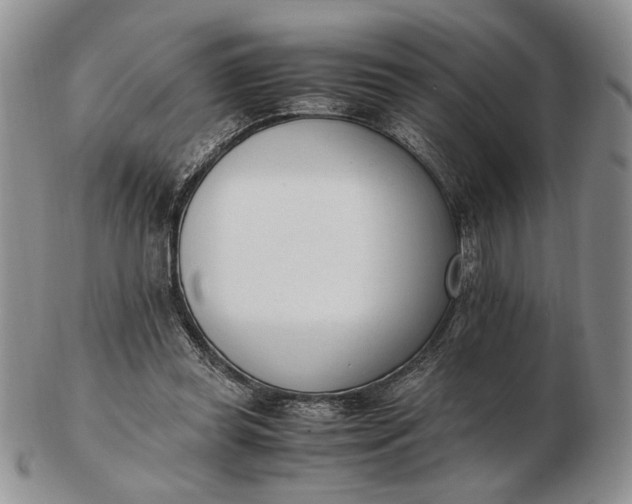 X0000102760349200809021012