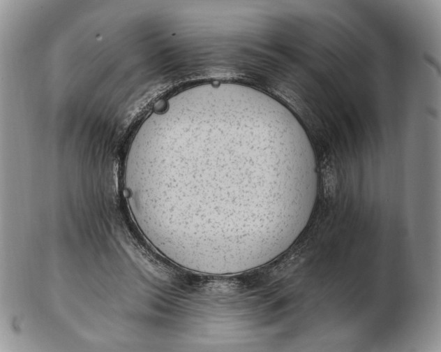 X0000102760350200809021012