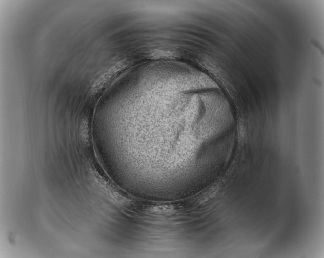 X0000102760353200809021012