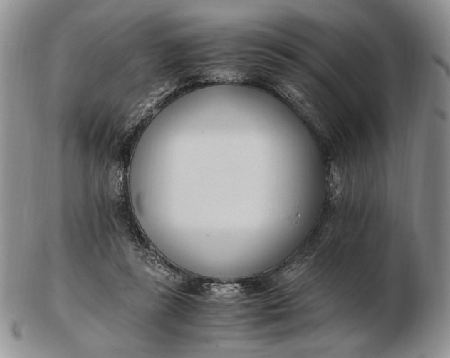 X0000102760355200809021012