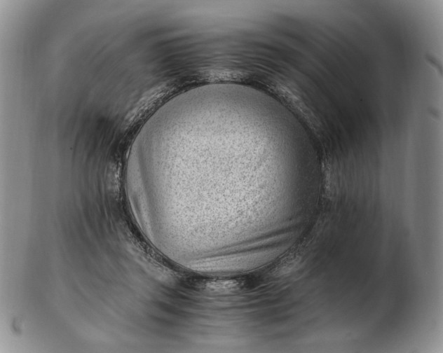 X0000102760357200809021012