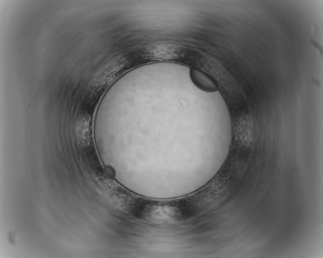 X0000102760360200809021012