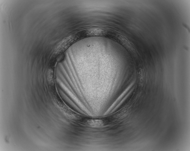 X0000102760361200809021012