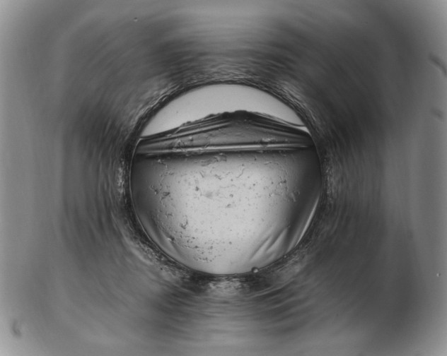 X0000102760362200809021012