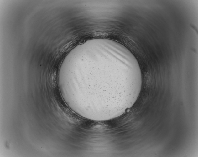 X0000102760364200809021012