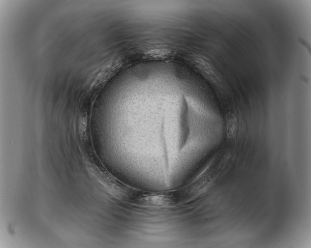 X0000102760365200809021012