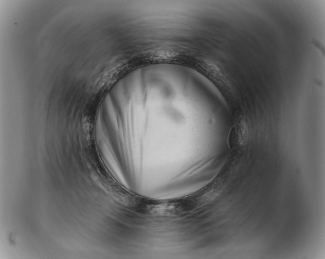 X0000102760366200809021012