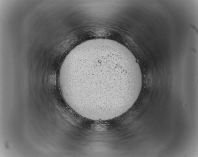 X0000102760368200809021012