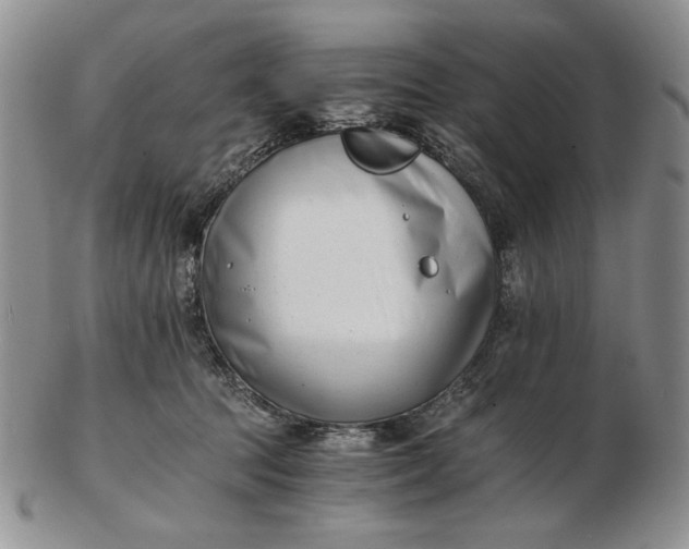 X0000102760369200809021012