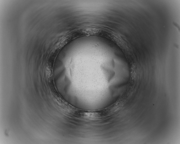 X0000102760371200809021012