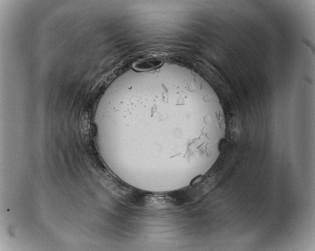 X0000102760372200809021012