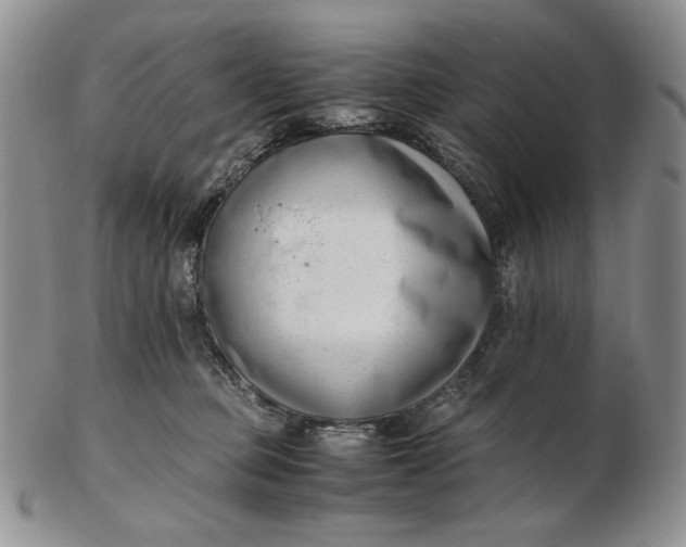 X0000102760373200809021012