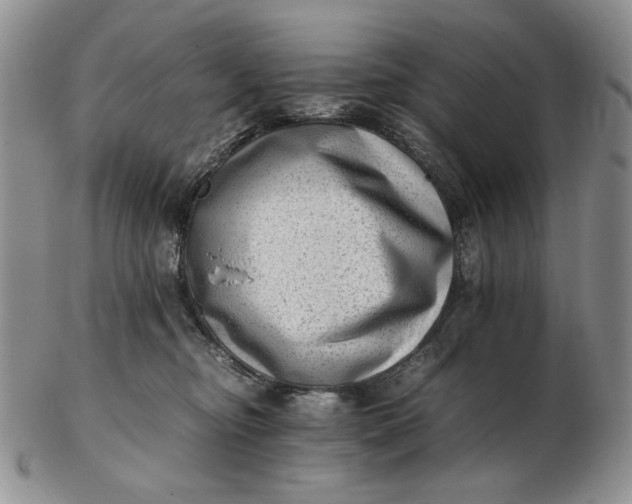 X0000102760374200809021012