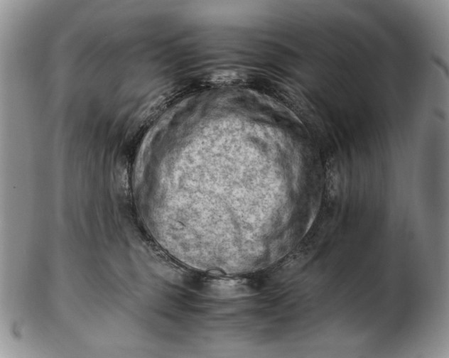 X0000102760375200809021012