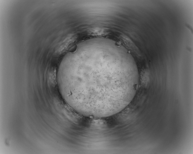 X0000102760376200809021012